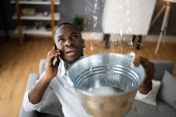 Best Carpet water damage restoration  in Alondra Park, CA