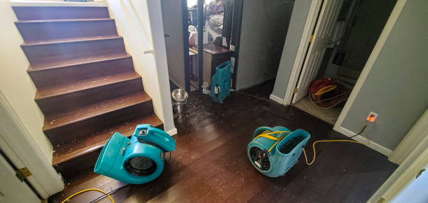 Best Water damage restoration services  in Alondra Park, CA