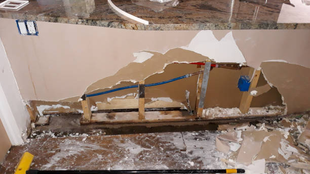 Best 24/7 water damage repair  in Alondra Park, CA