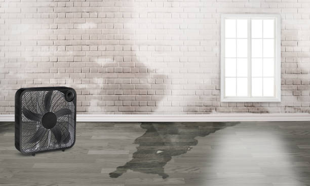 Best Commercial water damage restoration  in Alondra Park, CA