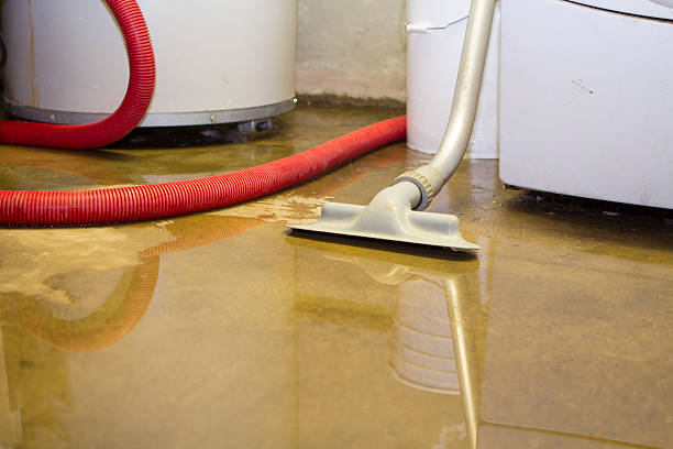 Best Flood restoration services  in Alondra Park, CA