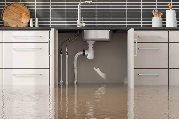 Best Residential water damage restoration  in Alondra Park, CA