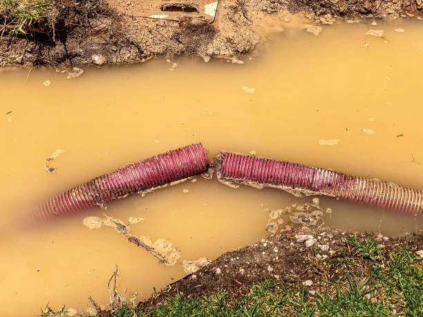 Best Water damage contractors near me  in Alondra Park, CA