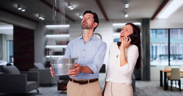 Best Mold removal after water damage  in Alondra Park, CA